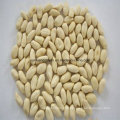 Peeled Peanut Kernel, White Peanut Kernel, Peanut Kernel Without Red Skin